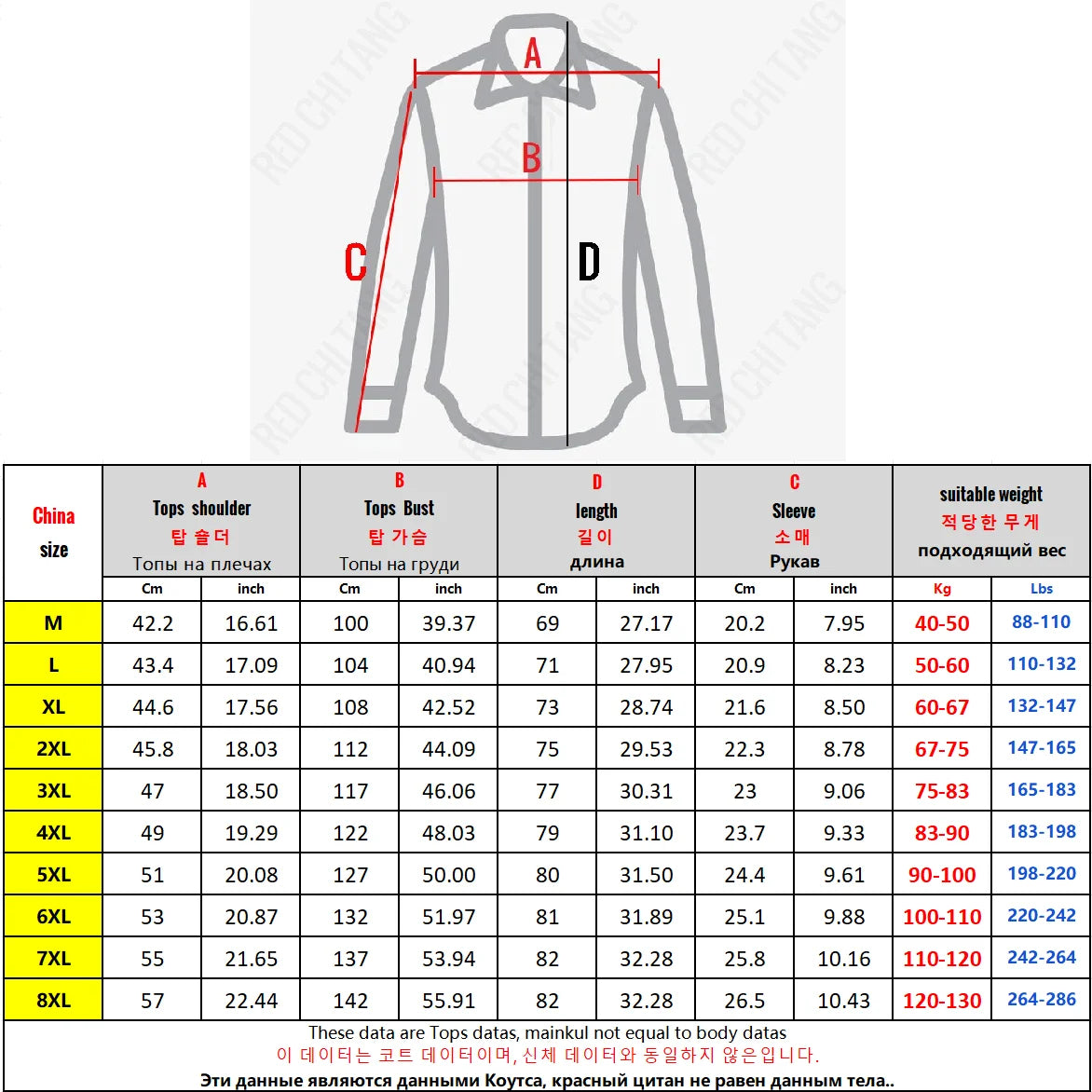 Plus Size Ice Silk Shirt